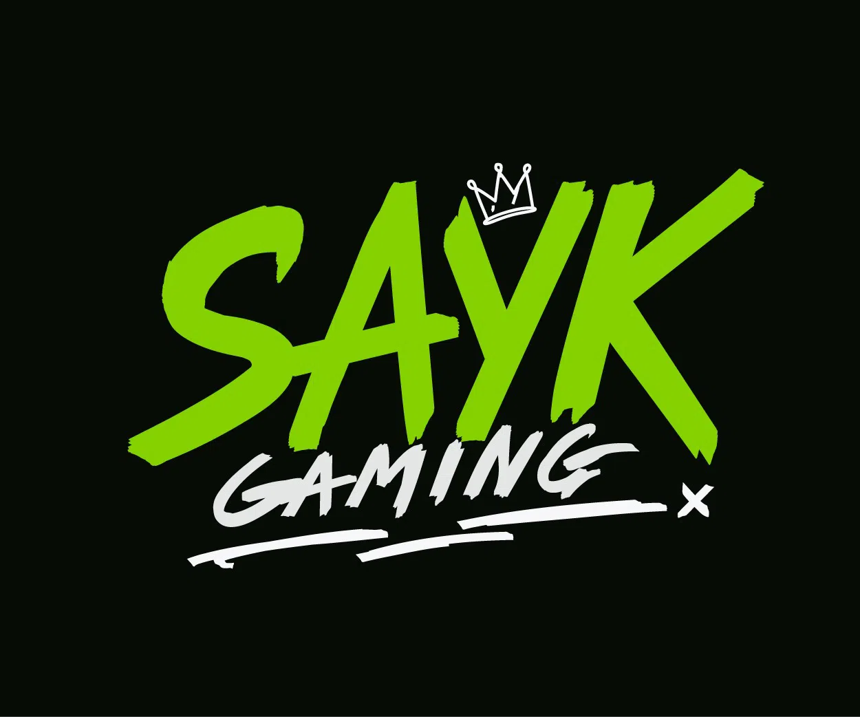 SayK GaminG